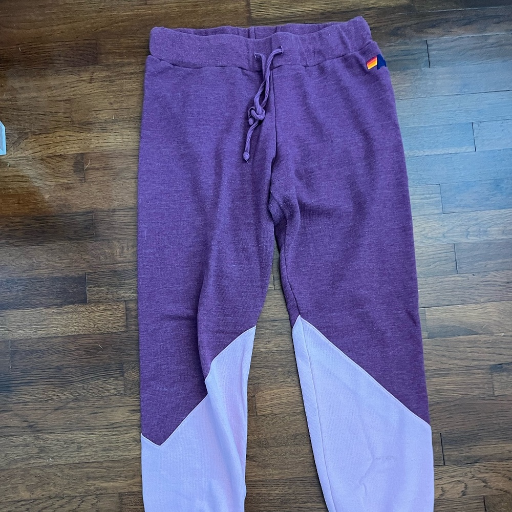 Aviator Nation Sweatpants- Pink and Purple